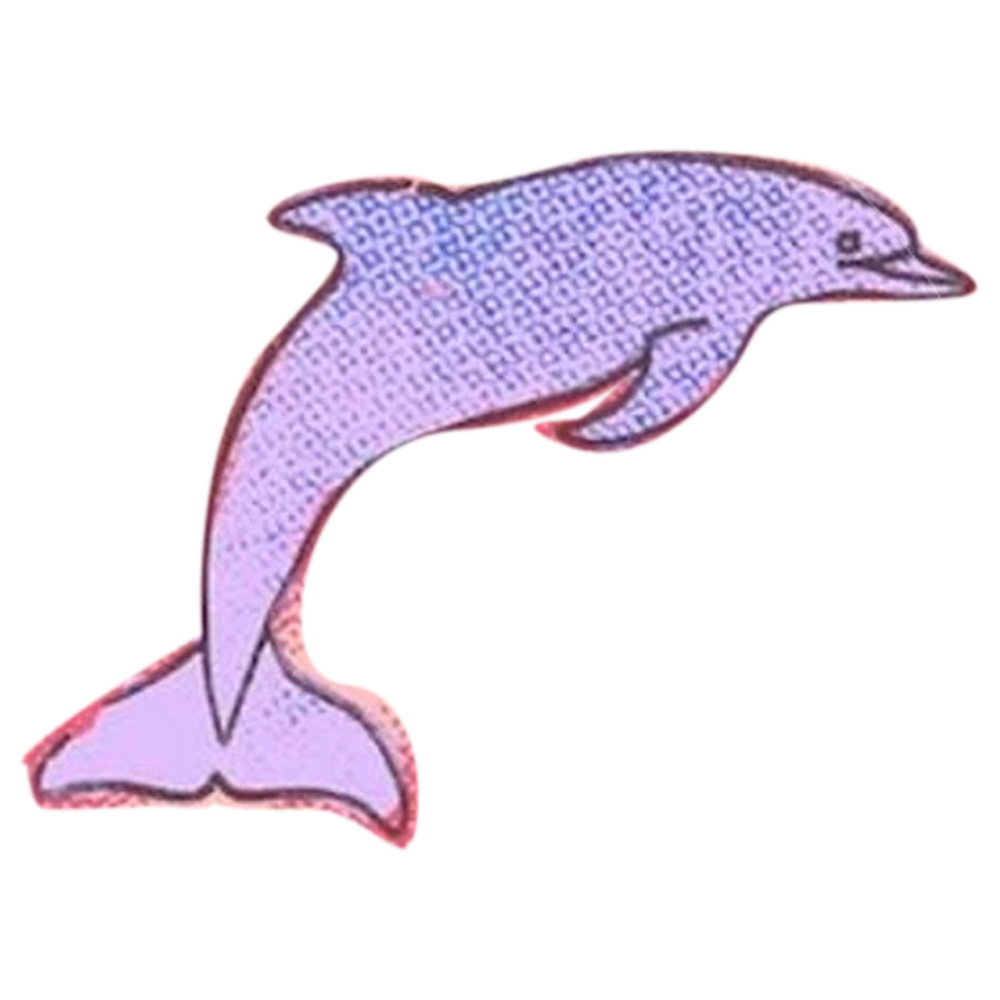 dolphin