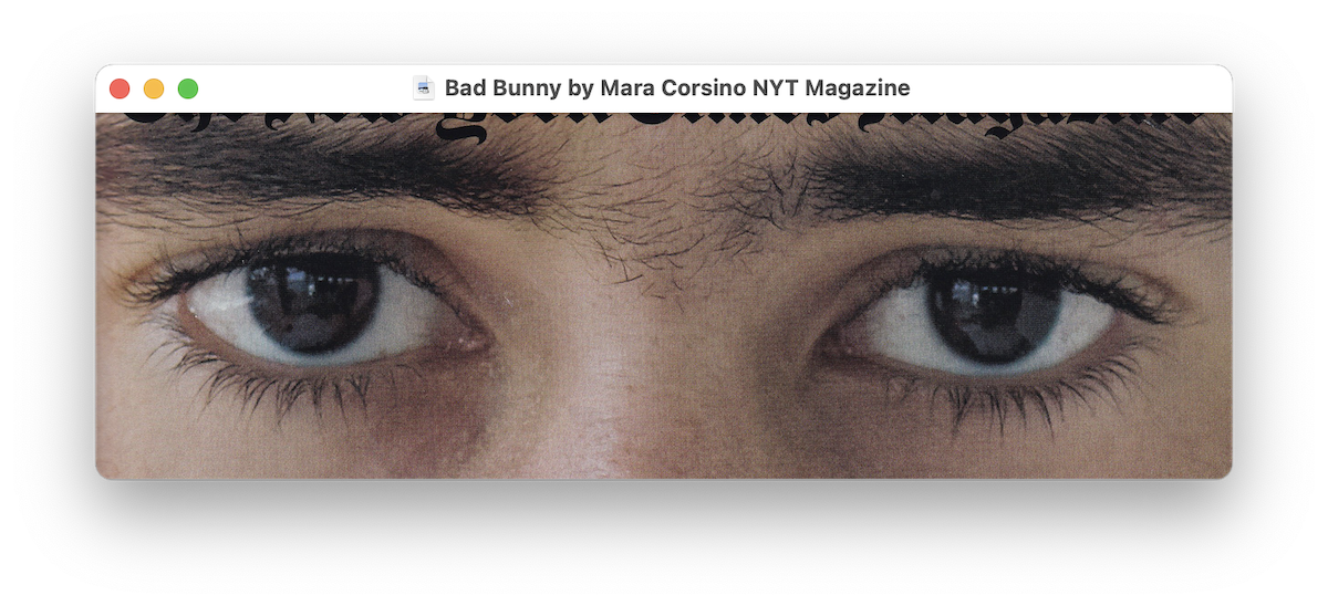 eyes cropped from the cover of NYT Mag with photography by Mara Corsino and design by Claudia Rubín, 2020